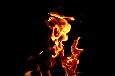 Close-up of fire at night