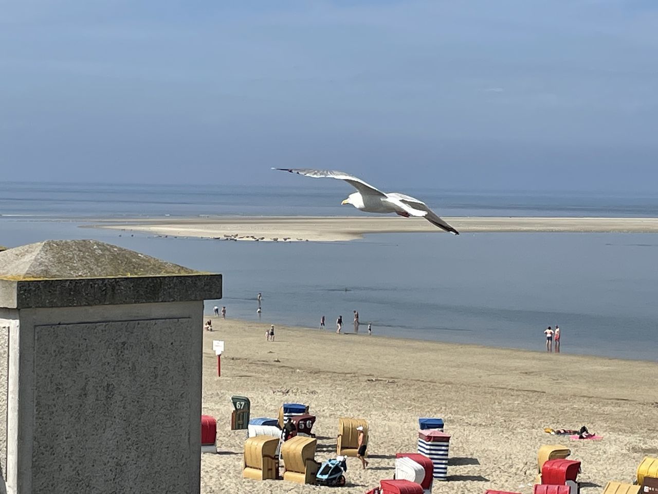 SEAGULLS ON BEACH
