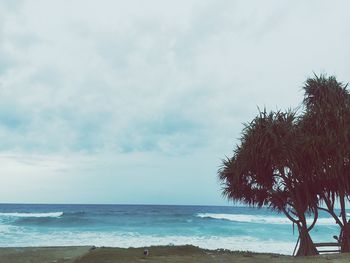 Scenic view of beach