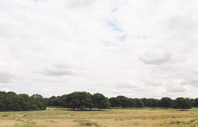 Trees growing on field against cloudy sky