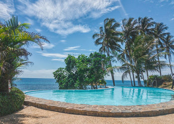 Palm trees by swimming pool against sky