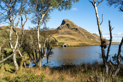 Scenic view of lake and trees against sky