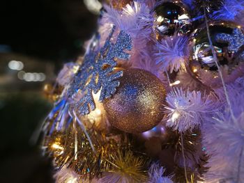 Close-up of illuminated christmas tree at night