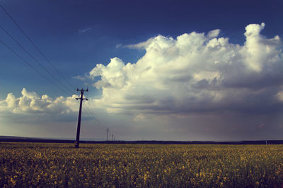 Scenic view of field against cloudy sky