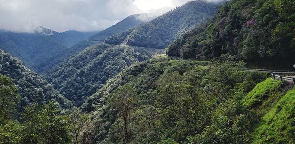 Panoramic view of trees and mountains against sky