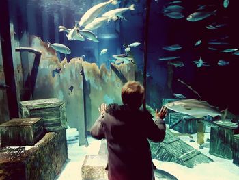 Rear view of boy standing in aquarium