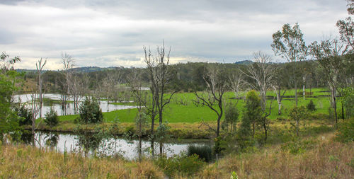 Scenic view of lake against sky