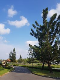 Road amidst trees against sky