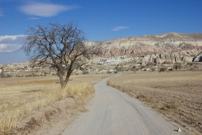 Road amidst bare trees against sky