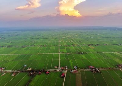 Aerial view of green paddy field during sunset