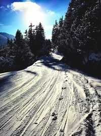 Snow covered land and trees against sky