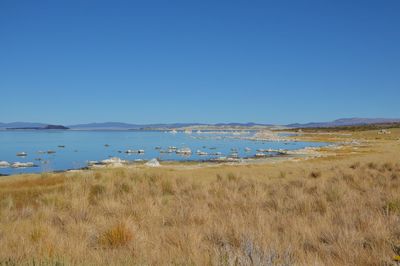 Scenic view of beach against clear blue sky