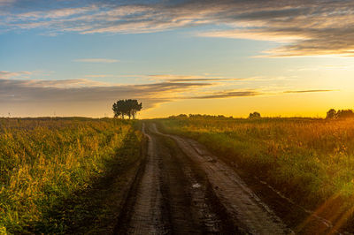 Scenic view of agricultural field against sky during sunset