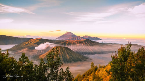 Scenic view of trees against cloudy sky during sunset