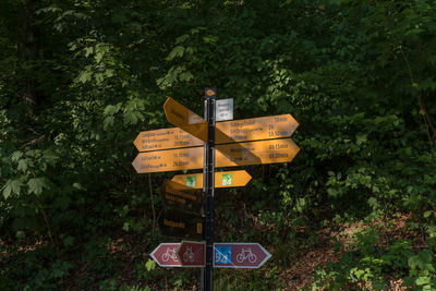 Information sign against trees