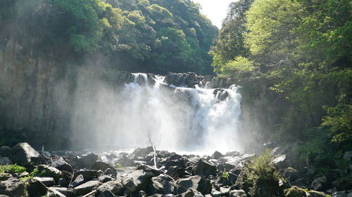 Scenic view of waterfall in forest