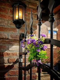 Close-up of flower pot against wall