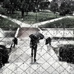 Rain drops on glass window