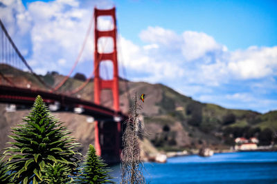 View of bay against cloudy sky