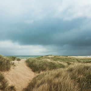 Scenic view of beach against sky