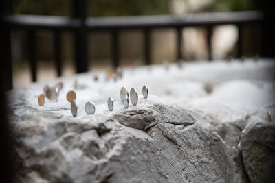 Coins balancing at a wishing stone in china
