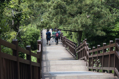 Rear view of people walking on steps at seongsan ilchulbong