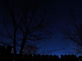 Low angle view of bare trees against sky at night