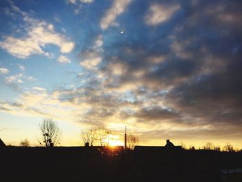 Silhouette of trees at sunset