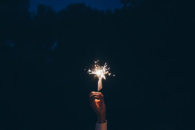 Firework display at night