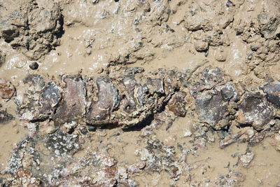 Full frame shot of a rock