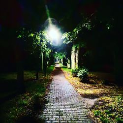 Footpath amidst trees at night