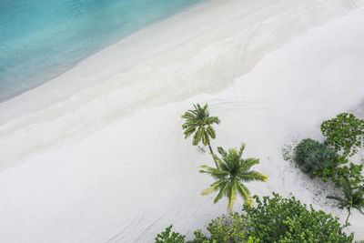 High angle view of snow covered landscape