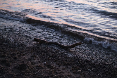 High angle view of sea shore