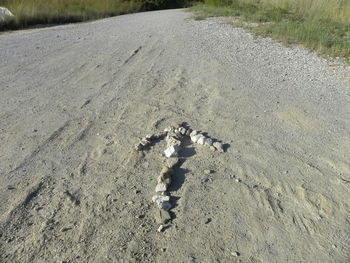 High angle view of dog on sand