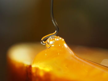 Close up of honey