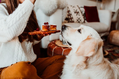 View of a dog eating food at home