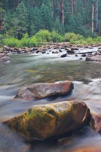 River flowing through rocks
