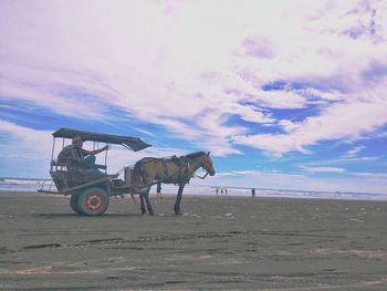 Horse cart on beach against sky