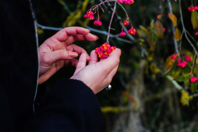 Midsection of woman touching flowers at park