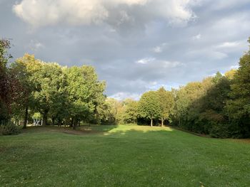 Trees on field against sky