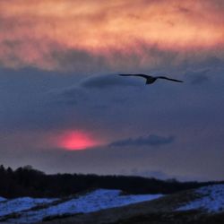 Scenic view of sky during sunset