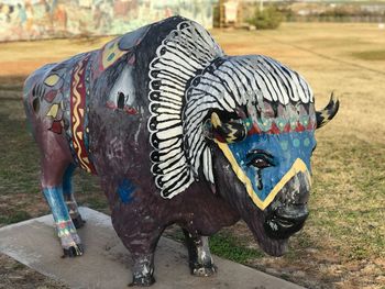 Close-up of multi colored horse