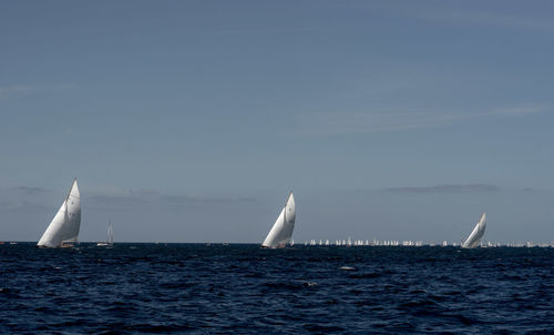 Fish swimming in sea against sky
