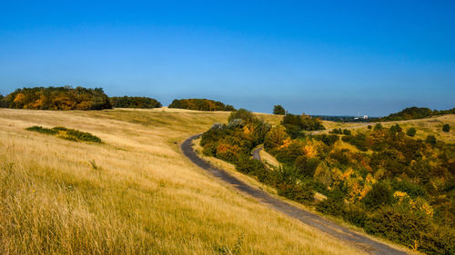 Scenic view of landscape against clear blue sky