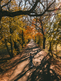 Man on road amidst trees during autumn