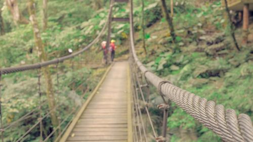 Footbridge in forest