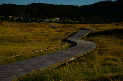 Footpath leading towards agricultural field