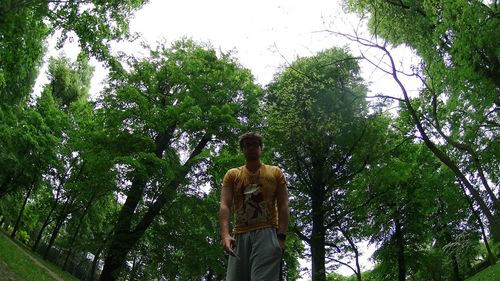 Low angle view of statue against trees