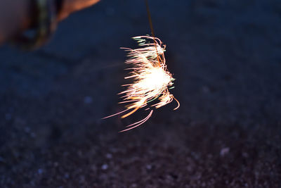 Close-up of fire crackers on beach