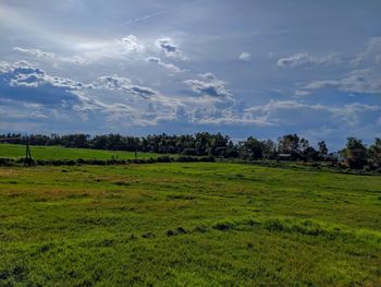 Scenic view of field against sky